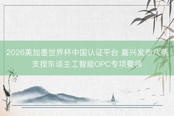 2026美加墨世界杯中国认证平台 嘉兴发布八条支捏东谈主工智能OPC专项要领