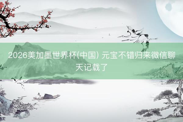 2026美加墨世界杯(中国) 元宝不错归来微信聊天记载了