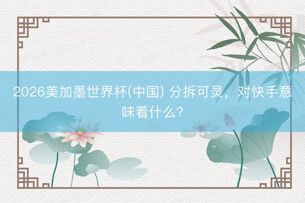 2026美加墨世界杯(中国) 分拆可灵，对快手意味着什么？