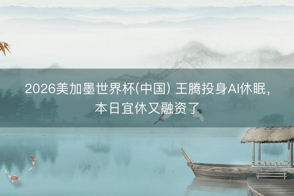 2026美加墨世界杯(中国) 王腾投身AI休眠，本日宜休又融资了