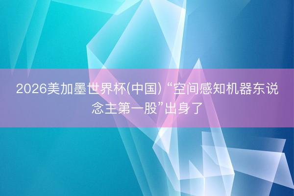 2026美加墨世界杯(中国) “空间感知机器东说念主第一股”出身了