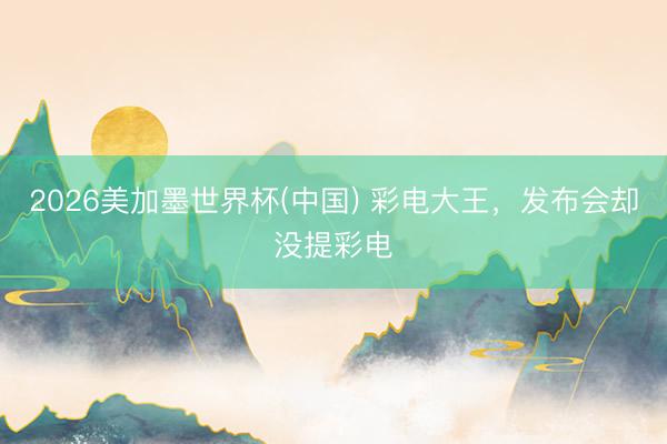 2026美加墨世界杯(中国) 彩电大王,发布会却没提彩电