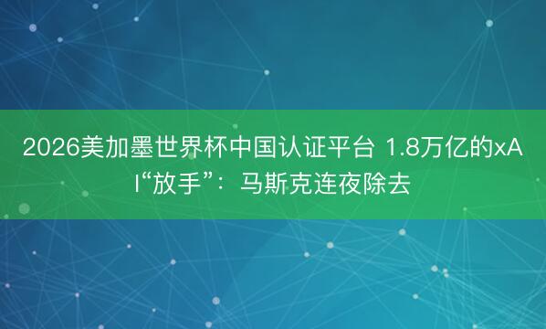 2026美加墨世界杯中国认证平台 1.8万亿的xAI“放手”：马斯克连夜除去