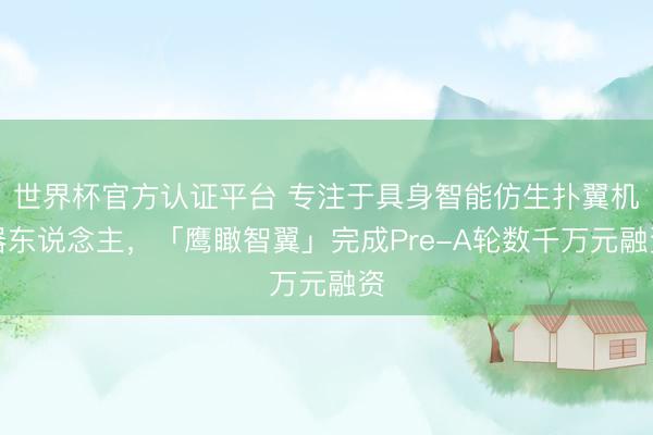 世界杯官方认证平台 专注于具身智能仿生扑翼机器东说念主，「鹰瞰智翼」完成Pre-A轮数千万元融资
