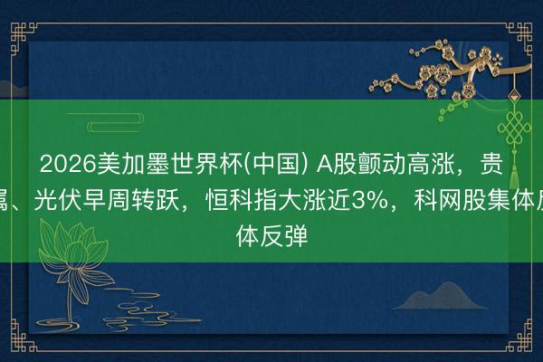 2026美加墨世界杯(中国) A股颤动高涨，贵金属、光伏早周转跃，恒科指大涨近3%，科网股集体反弹