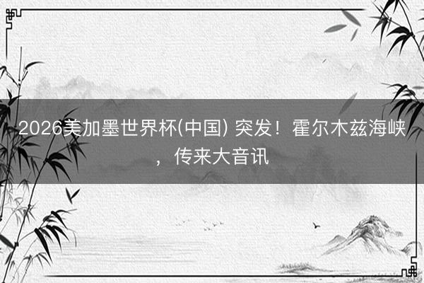 2026美加墨世界杯(中国) 突发！霍尔木兹海峡，传来大音讯