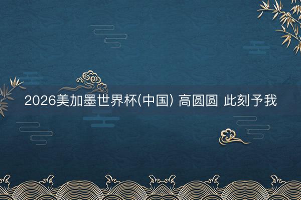 2026美加墨世界杯(中国) 高圆圆 此刻予我