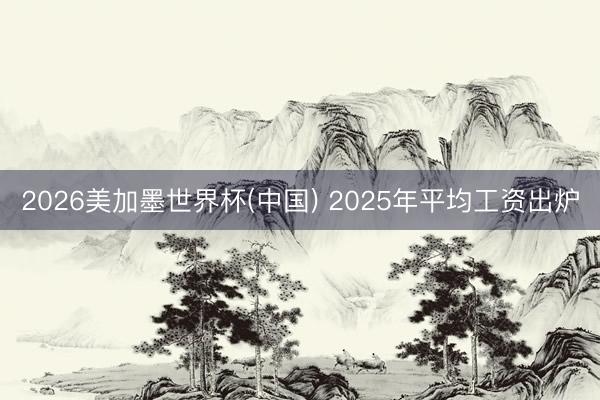 2026美加墨世界杯(中国) 2025年平均工资出炉