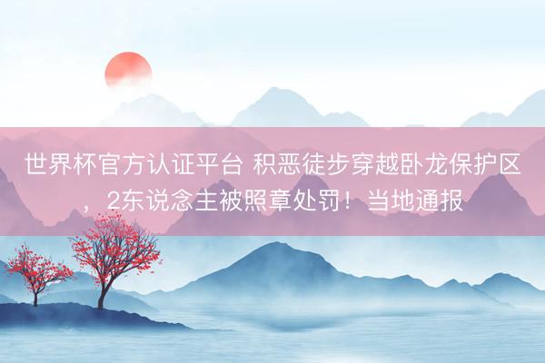 世界杯官方认证平台 积恶徒步穿越卧龙保护区，2东说念主被照章处罚！当地通报