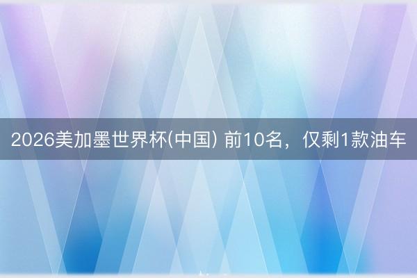 2026美加墨世界杯(中国) 前10名，仅剩1款油车