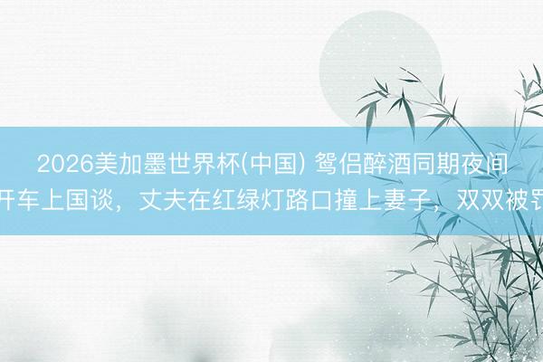 2026美加墨世界杯(中国) 鸳侣醉酒同期夜间开车上国谈，丈夫在红绿灯路口撞上妻子，双双被罚