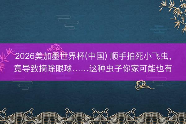 2026美加墨世界杯(中国) 顺手拍死小飞虫，竟导致摘除眼球……这种虫子你家可能也有