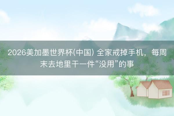 2026美加墨世界杯(中国) 全家戒掉手机，每周末去地里干一件“没用”的事