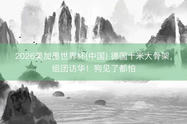 2026美加墨世界杯(中国) 德国十米大骨架,组团访华!狗见了都怕