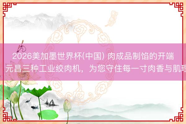 2026美加墨世界杯(中国) 肉成品制馅的开端：元昌三种工业绞肉机，为您守住每一寸肉香与肌理