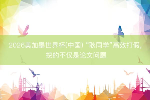 2026美加墨世界杯(中国) “耿同学”高效打假， 挖的不仅是论文问题
