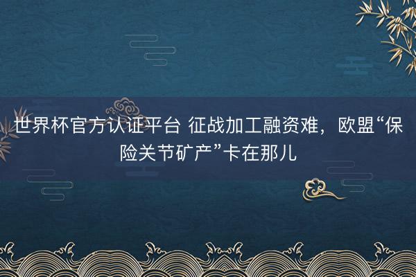 世界杯官方认证平台 征战加工融资难，欧盟“保险关节矿产”卡在那儿