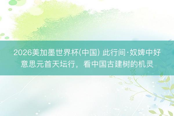 2026美加墨世界杯(中国) 此行间·奴婢中好意思元首天坛行，看中国古建树的机灵