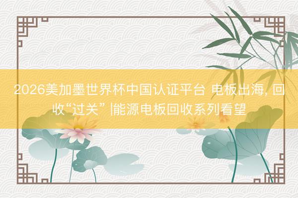 2026美加墨世界杯中国认证平台 电板出海， 回收“过关” |能源电板回收系列看望
