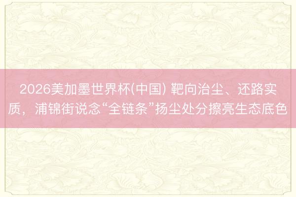 2026美加墨世界杯(中国) 靶向治尘、还路实质，浦锦街说念“全链条”扬尘处分擦亮生态底色
