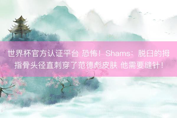 世界杯官方认证平台 恐怖!Shams:脱臼的拇指骨头径直刺穿了范德彪皮肤 他需要缝针!