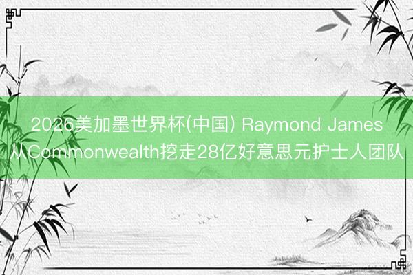 2026美加墨世界杯(中国) Raymond James从Commonwealth挖走28亿好意思元护士人团队
