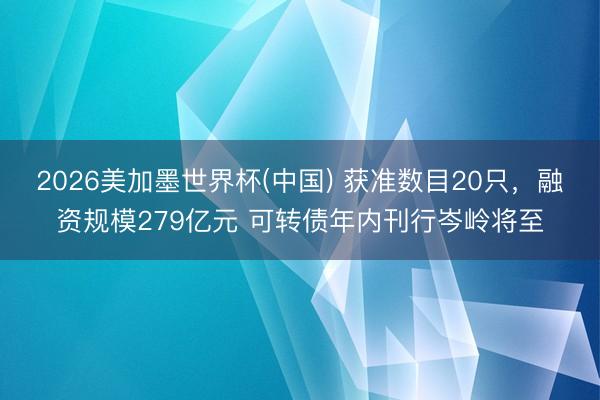 2026美加墨世界杯(中国) 获准数目20只，融资规模279亿元 可转债年内刊行岑岭将至