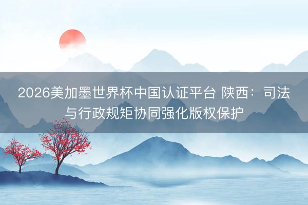 2026美加墨世界杯中国认证平台 陕西：司法与行政规矩协同强化版权保护