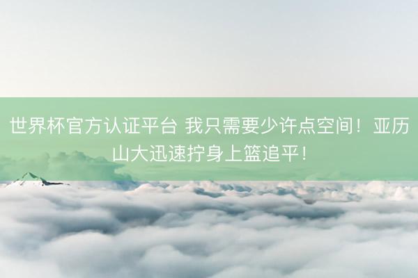 世界杯官方认证平台 我只需要少许点空间！亚历山大迅速拧身上篮追平！
