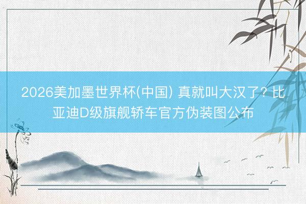 2026美加墨世界杯(中国) 真就叫大汉了? 比亚迪D级旗舰轿车官方伪装图公布