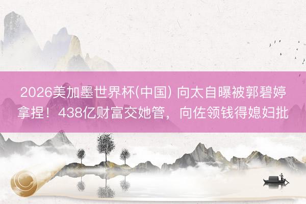 2026美加墨世界杯(中国) 向太自曝被郭碧婷拿捏！438亿财富交她管，向佐领钱得媳妇批