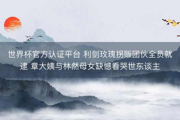 世界杯官方认证平台 利剑玫瑰拐贩团伙全员就逮 章大姨与林然母女缺憾看哭世东谈主
