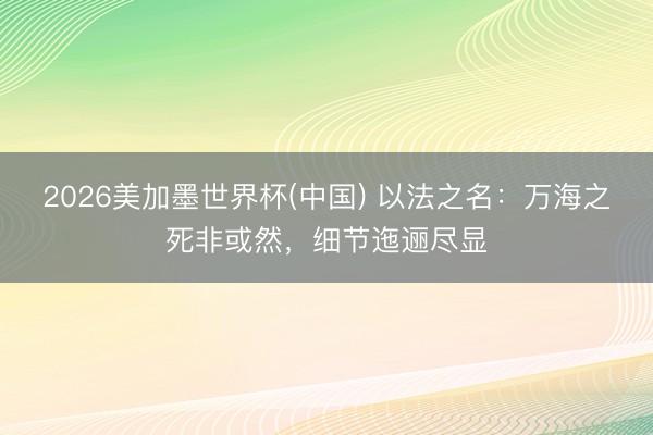2026美加墨世界杯(中国) 以法之名：万海之死非或然，细节迤逦尽显