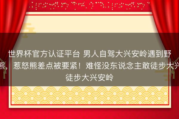世界杯官方认证平台 男人自驾大兴安岭遇到野生棕熊，惹怒熊差点被要紧！难怪没东说念主敢徒步大兴安岭