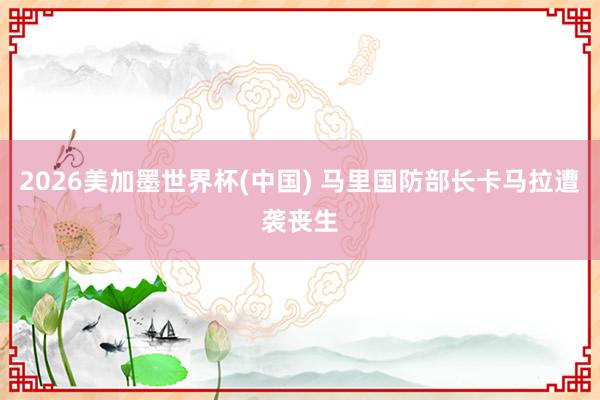 2026美加墨世界杯(中国) 马里国防部长卡马拉遭袭丧生
