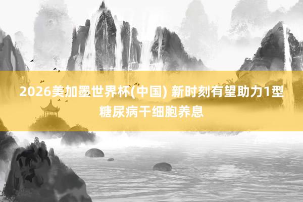 2026美加墨世界杯(中国) 新时刻有望助力1型糖尿病干细胞养息